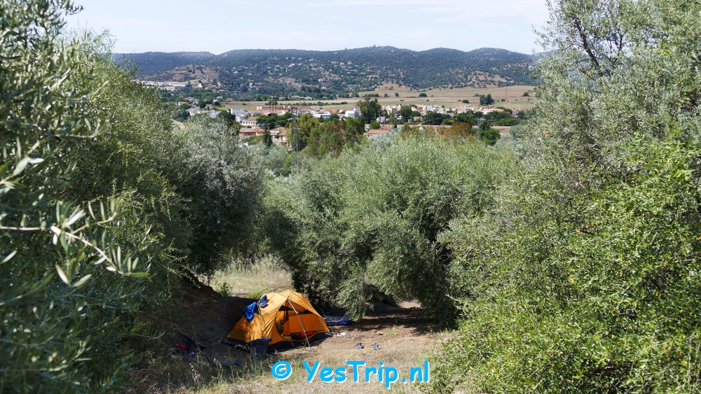 xxx From Cordoba to Los Angeles xxx